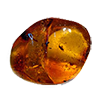 Gemology amber