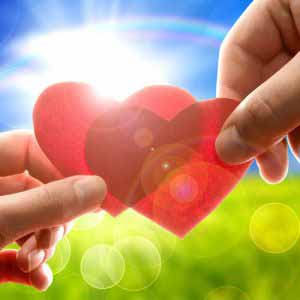 love life report
